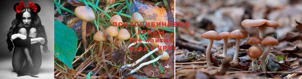прущая мука Алексеевка