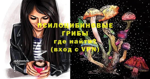синтетический гашиш Алексин