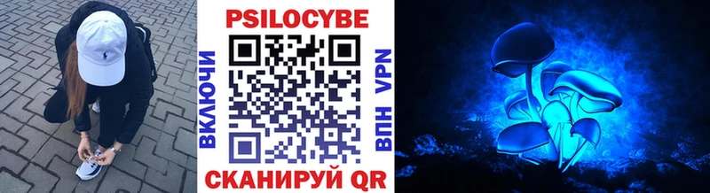 Галлюциногенные грибы Cubensis Лаишево