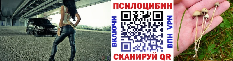 Галлюциногенные грибы Psilocybine cubensis Лаишево